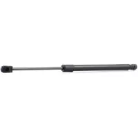 RIDEX 219G0246 Gasveer achterklep