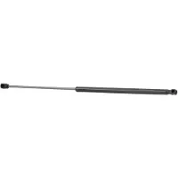 RIDEX 219G0430 Gasveer achterklep