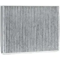 Delphi TSP0325226C Interieurfilter