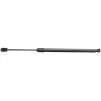 RIDEX 219G0804 Gasveer achterklep