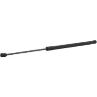 RIDEX 219G1244 Gasveer achterklep