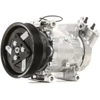 RIDEX 447K0028 Aircopomp
