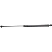 RIDEX 219G0731 Gasveer achterklep