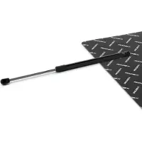 RIDEX 219G1552 Gasveer achterklep