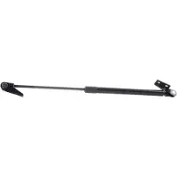 RIDEX 219G0602 Gasveer achterklep