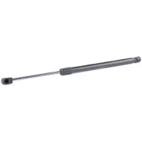RIDEX 219G0890 Gasveer achterklep