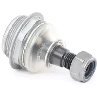 Schaeffler 825 0192 10 Fuseekogel