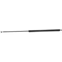 RIDEX 219G0047 Gasveer achterklep