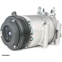 RIDEX 447K0203 Aircopomp