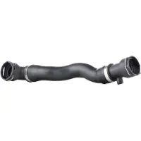 RIDEX 475R10052 Radiateurslang