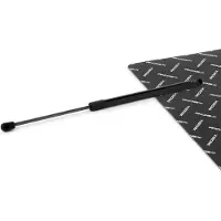 RIDEX 219G1364 Gasveer achterklep