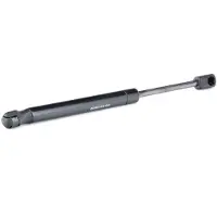 RIDEX 219G0286 Gasveer achterklep