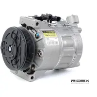 RIDEX 447K0100 Aircopomp