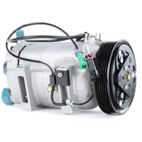 RIDEX 447K0242 Aircopomp
