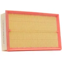 RIDEX 8A0160P Luchtfilter