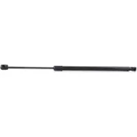 RIDEX 219G0065 Gasveer achterklep