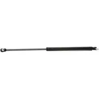 RIDEX 219G0322 Gasveer achterklep