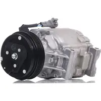 Denso Airco-compressor DCP36002