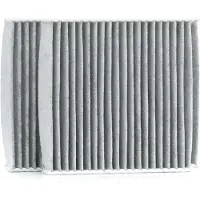Delphi TSP0325229C Interieurfilter