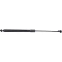 RIDEX 219G0552 Gasveer achterklep