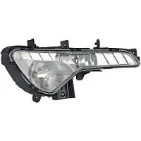 Diederichs 6522888 Mistlamp