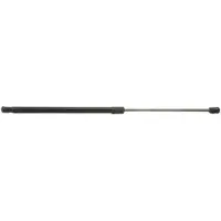 RIDEX 219G0073 Gasveer achterklep