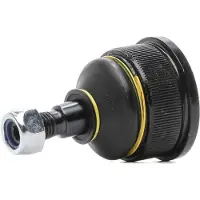 RIDEX 2462S0257P Fuseekogel