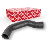 FEBI BILSTEIN 172029 Radiateurslang