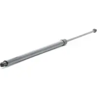 RIDEX 219G0974 Gasveer achterklep