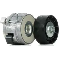 DAYCO Riemspanner, Poly V-riem APV2463