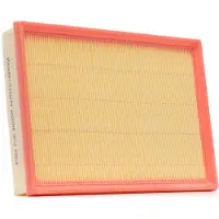 RIDEX 8A0257P Luchtfilter