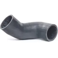 RIDEX 3314C0269 Laadluchtslang