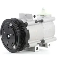 RIDEX 447K0054 Aircopomp