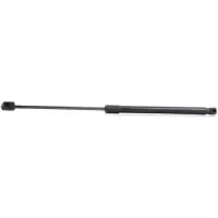 RIDEX 219G0351 Gasveer achterklep