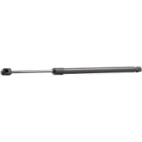 RIDEX 219G0607 Gasveer achterklep