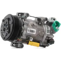 RIDEX 447K0825R Aircopomp