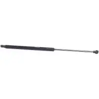 RIDEX 219G0329 Gasveer achterklep