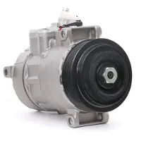 RIDEX 447K0409 Aircopomp