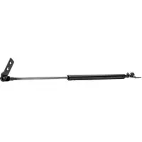 RIDEX 219G0159 Gasveer achterklep