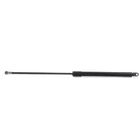 RIDEX 219G0089 Gasveer achterklep