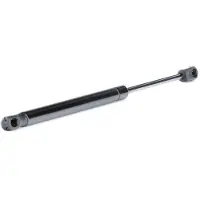 RIDEX 219G0597 Gasveer achterklep