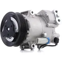 RIDEX 447K0213 Aircopomp