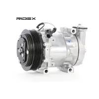 RIDEX 447K0034 Aircopomp