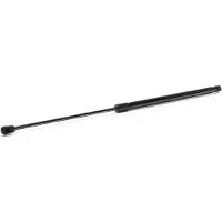 RIDEX 219G1110 Gasveer achterklep
