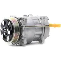 RIDEX 447K0075 Aircopomp