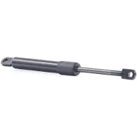 RIDEX 219G0984 Gasveer achterklep
