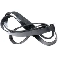 DAYCO 6PK1842 Multiriem