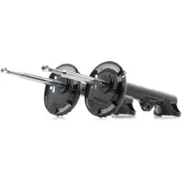 RIDEX 854S1534P Schokdemper