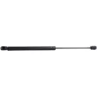 RIDEX 219G0181 Gasveer achterklep