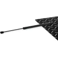 RIDEX 219G1369 Gasveer achterklep